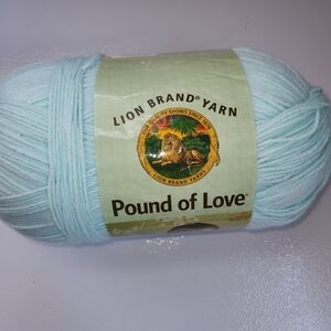 Huge Skein LION BRAND Yarn Pastel Green